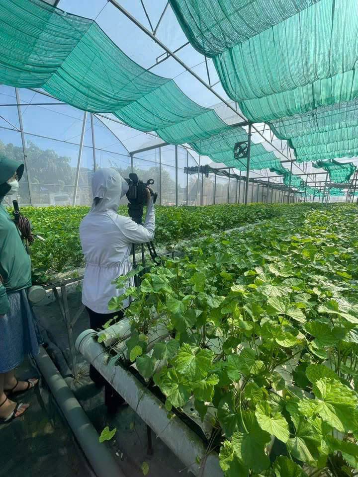 Góc ghi hình tại vườn rau má Đặng Ngọc